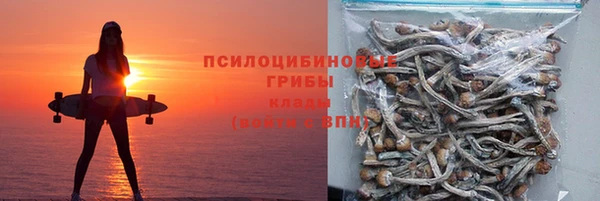 прущий лед Абаза
